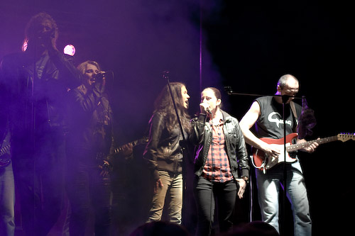 Pivní slavnosti / srpen 2014
